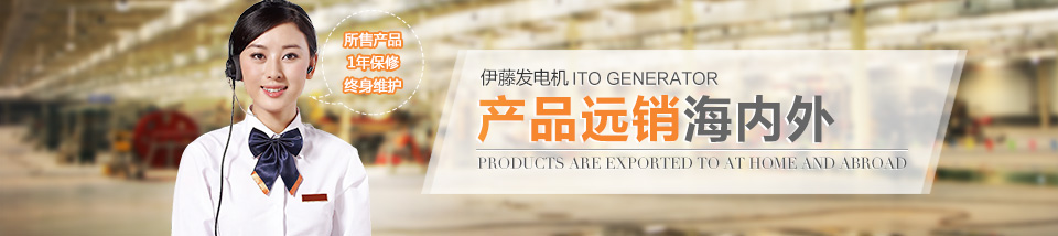 發(fā)電機技術(shù)咨詢